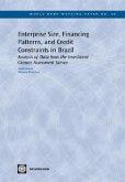 Enterprise Size, Financing Patterns, and Credit Constraints in Brazil: Analysis of Data from the Investment Climate Assessment Survey