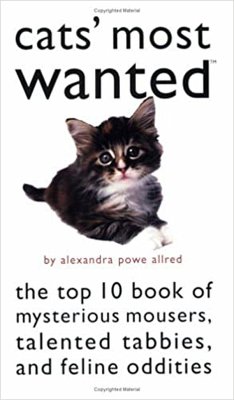 Cats' Most Wanted - Allred, Alexandra Powe