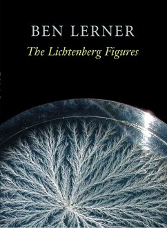 The Lichtenberg Figures - Lerner, Ben