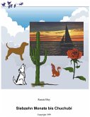 Siebzehn Monate bis Chuchubi