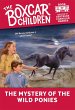 The Mystery of the Wild Ponies - Bild 1