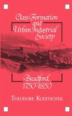 Class Formation and Urban Industrial Society