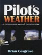 Pilot's Weather - Bild 1