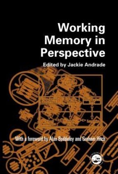 Working Memory in Perspective - Andrade, Jackie (ed.)