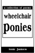 Wheelchair Ponies - Bild 1