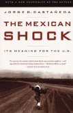 The Mexican Shock