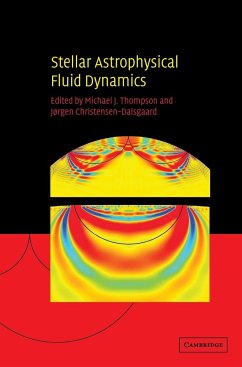 Stellar Astrophysical Fluid Dynamics - Thompson, Michael J. / Christensen-Dalsgaard, Jørgen (eds.)