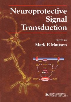 Neuroprotective Signal Transduction - Mattson, Mark P. (ed.)