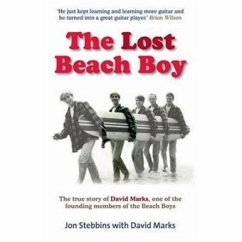 The Lost Beach Boy - Stebbins, Jon