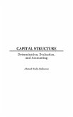 Capital Structure