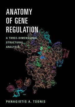 Anatomy of Gene Regulation - Tsonis, Panagiotis A.