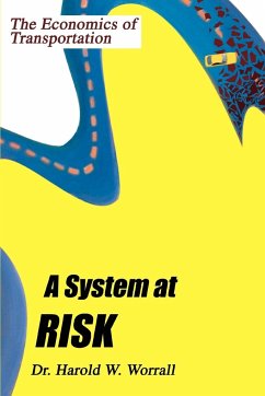 A System at Risk