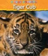 Tiger Cub - Hughes, Monica