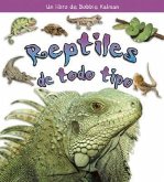 Reptiles de Todo Tipo (Reptiles of All Kinds)