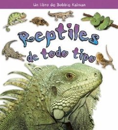 Reptiles de Todo Tipo (Reptiles of All Kinds) - MacAulay, Kelley