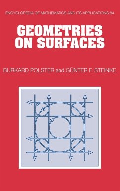 Geometries on Surfaces - Polster, Burkard; Stienke, Gunther; Steinke, Gunter