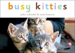 Busy Kitties - Schindel, John