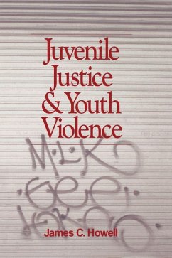 Cover Juvenile Justice and Youth Violence