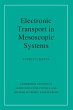 Electronic Transport in Mesoscopic... - Bild 1
