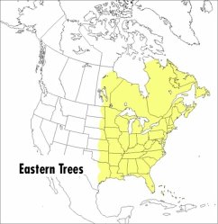 A Peterson Field Guide to Eastern Trees - Wehr, Janet; Petrides, George A