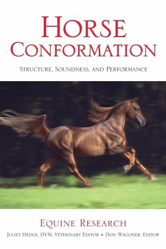 Horse Conformation - Equine Research