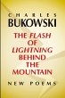 The Flash of Lightning Behind the... - Bild 1