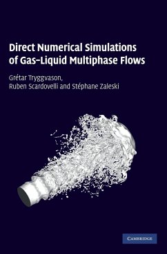 Direct Numerical Simulations of Gas-Liquid Multiphase Flows - Tryggvason, Grétar; Scardovelli, Ruben; Zaleski, Stéphane
