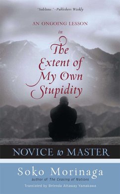 Novice to Master: An Ongoing Lesson in the Extent of My Own Stupidity - Morinaga, Soko