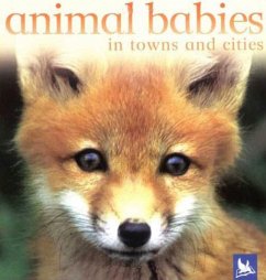 Animal Babies in Towns and Cities - Kingfisher Books