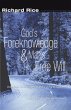 God's Foreknowledge and Man's Free Will - Bild 1