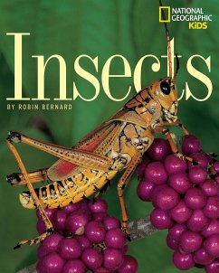 Insects - Bernard, Robin