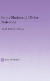 In the Shadows of Divine Perfection