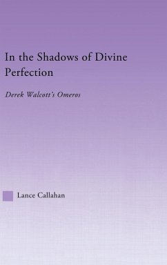 Cover In the Shadows of Divine Perfection