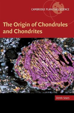 The Origin of Chondrules and Chondrites - Sears, Derek W. G.