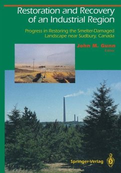 Restoration and Recovery of an Industrial Region