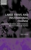 Large Firms and Institutional Change
