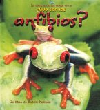 ¿Qué Son Los Anfibios? (What Is an Amphibian?)