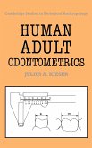 Human Adult Odontometrics