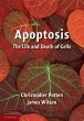 Apoptosis - Bild 1