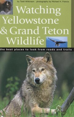 Watching Yellowstone & Grand Teton Wildlife - Wilkinson, Todd
