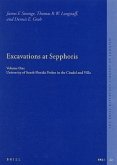 Excavations at Sepphoris: Volume One: University of South Florida Probes in the Citadel and Villa