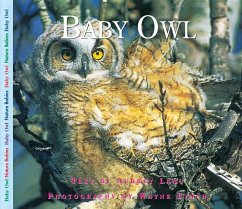 Baby Owl - Lang, Aubrey