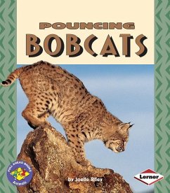 Pouncing Bobcats - Riley, Joelle
