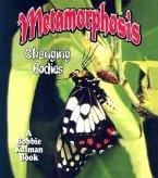 Metamorphosis: Changing Bodies