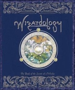 Wizardology - Master Merlin