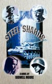 Steel Shards Steel Shards