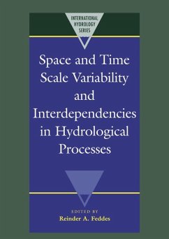 Space and Time Scale Variability and Interdependencies in Hydrological Processes - Feddes, Reinder A. (ed.)