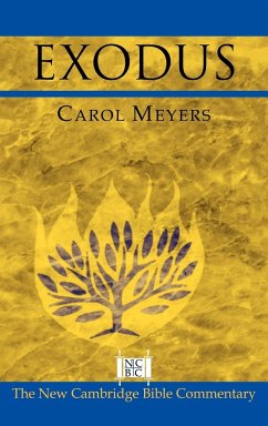 Exodus - Meyers, Carol L.