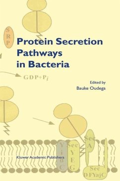 Protein Secretion Pathways in Bacteria - Oudega, B. (Hrsg.)