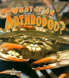 What Is an Arthropod? - Kalman, Bobbie